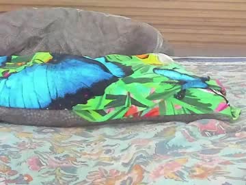 mistressandangel's chat room