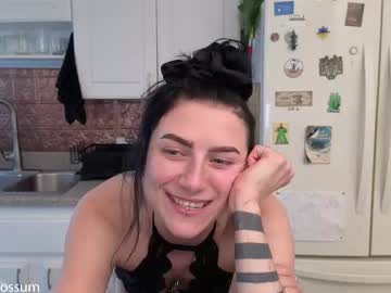 levity_opossum's chat room