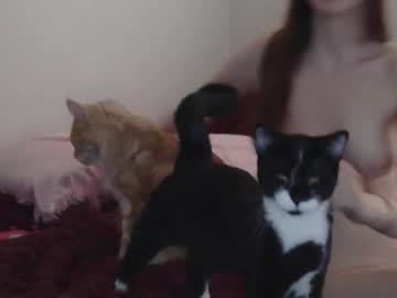 astridjenkins95's chat room