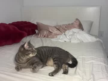 elenahere4u's chat room