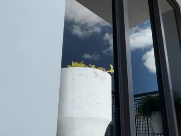 reecemariexx's chat room