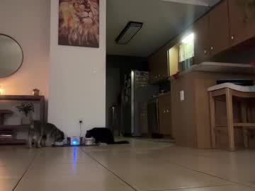 jadelove_'s chat room