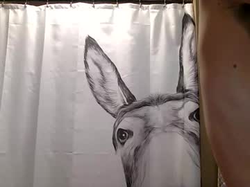 misseeva's chat room