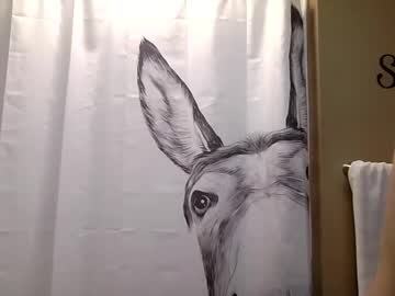 misseeva's chat room