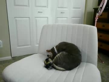 luckyducky02's chat room