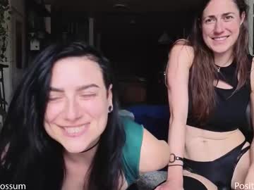 levity_opossum's chat room