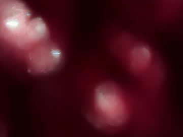 therosiecheeks's chat room