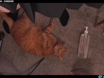 cinnabelle's chat room