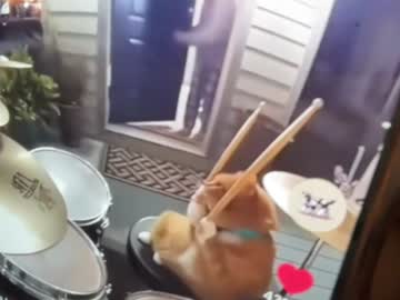 bonnettbonett's chat room