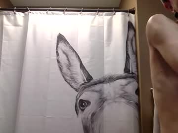 misseeva's chat room