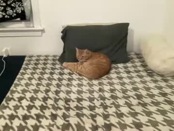 xobeccaxo's chat room