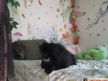 aliceriverscam's chat room