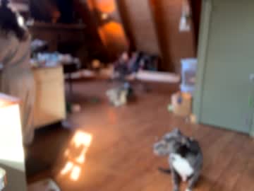 emersoncane's chat room