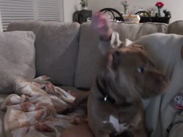 holihurricane's chat room