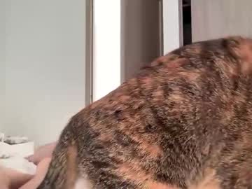 teffsweet18's chat room