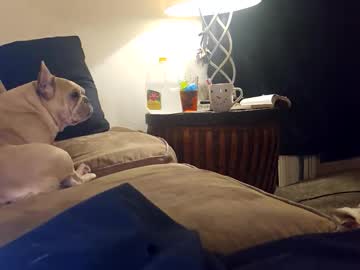 cactusbald817's chat room