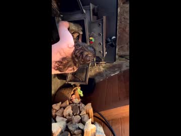 emersoncane's chat room