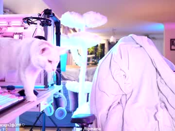 misshowl's chat room