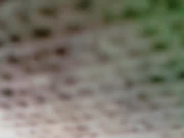 sarahlandry's chat room