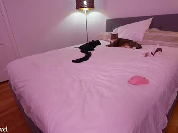 lilypixel's chat room