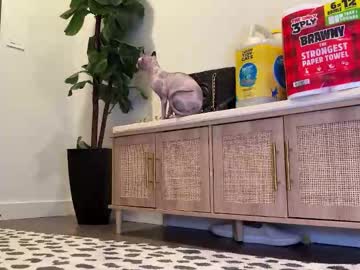 graciemae_baexx's chat room