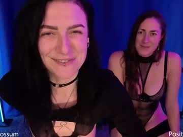 levity_opossum's chat room