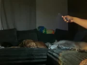 calicreamdaddy's chat room