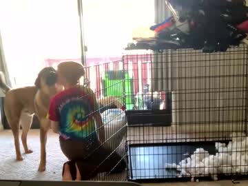 intothewoodswego's chat room