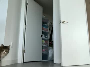 reecemarie's chat room