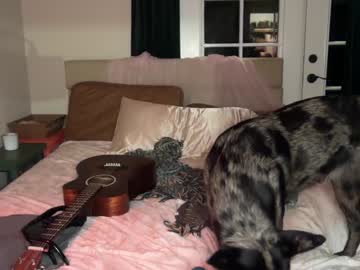 kaileeshy's chat room