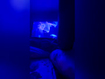 quickandcurious's chat room