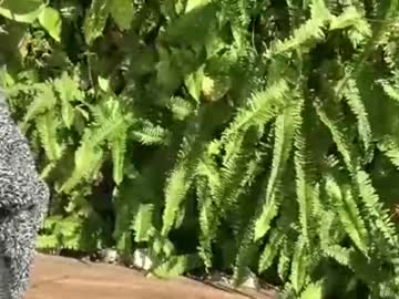 jessicaparkerrr's chat room