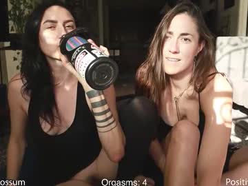 levity_opossum's chat room