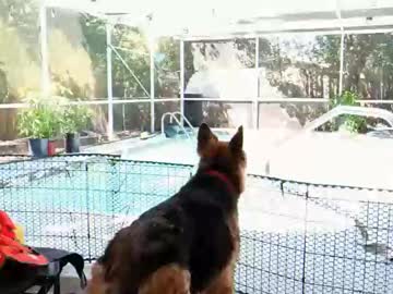 yoursecretgirlfriend963's chat room