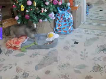 archancel's chat room