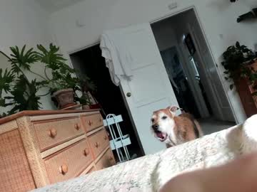 pretendlunch's chat room