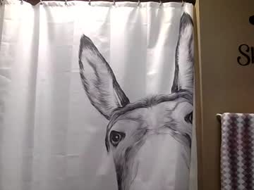 misseeva's chat room