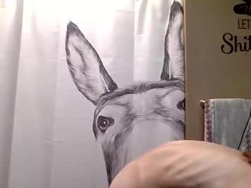 misseeva's chat room