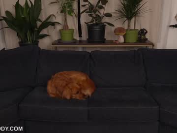 marymoody's chat room