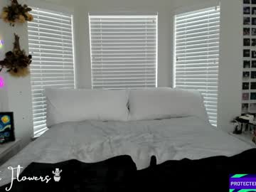 violetttflowers's chat room