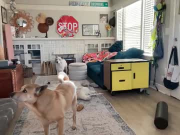 dreamyriri's chat room