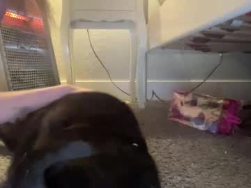 zoeyyb666's chat room