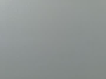 theislandgirl's chat room