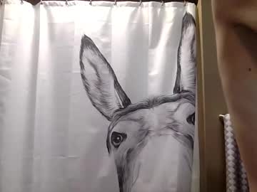 misseeva's chat room