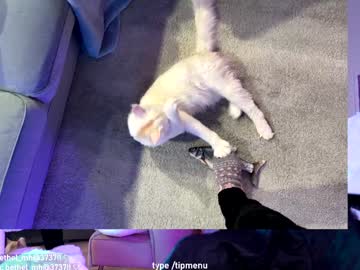 misshowl's chat room