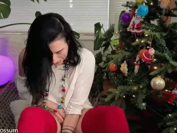 levity_opossum's chat room