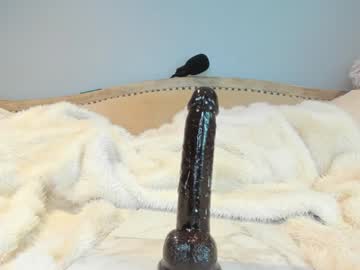 eatmygingersnapps's chat room