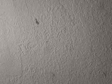 deepthroatqueen33's chat room