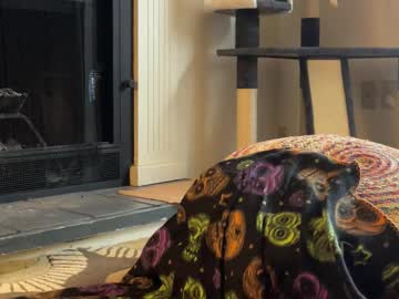 sweet_truffle's chat room