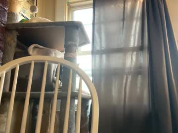 dabqueen_1994's chat room